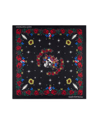 » Bertha Fabulous Small Silk Scarf (50% off)